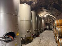 Winery 3