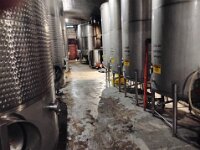 Winery 6