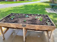 VA Spring Clean Up-14