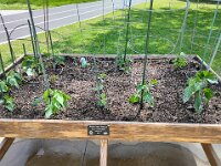 VA Spring Clean Up-15