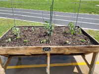 VA Spring Clean Up-16