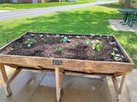 IMG 20260417 125719225