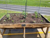 IMG 20260417 125732289 HDR